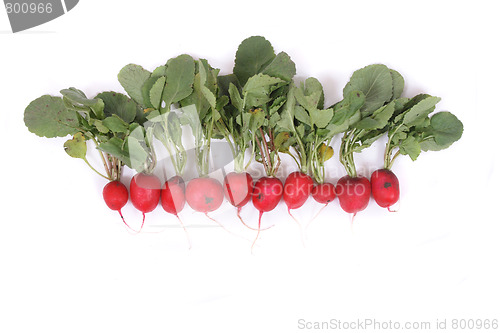 Image of radishes