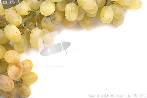Image of white grapes 