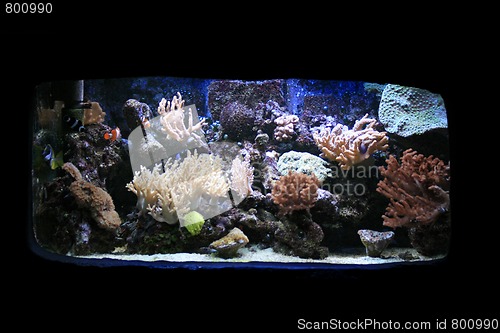 Image of aquarium background