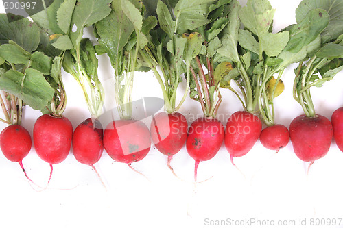 Image of radishes