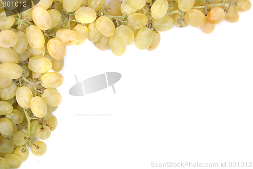 Image of white grapes 