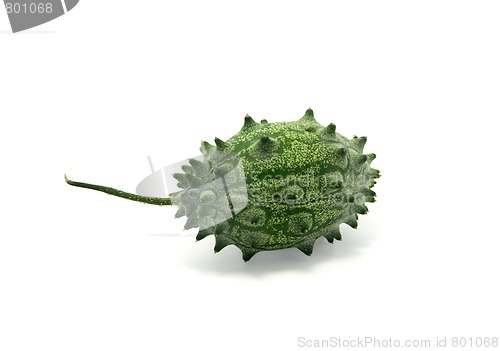 Image of Kiwano or Horned Melon (Cucumis metuliferus)