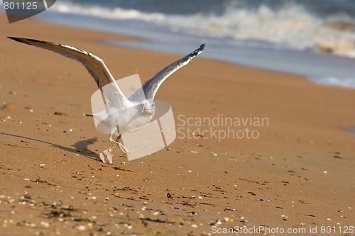 Image of Take-off