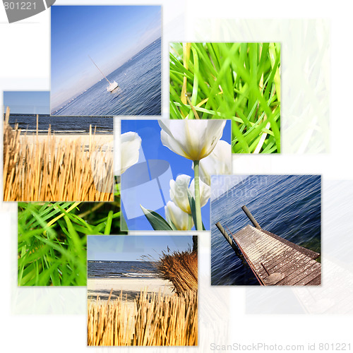 Image of Nature collage.