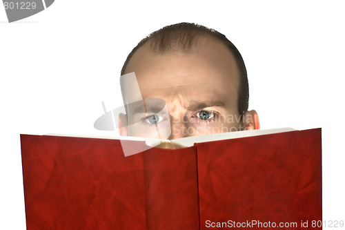 Image of Intently reading