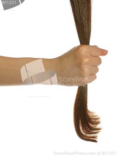 Image of Strong hair