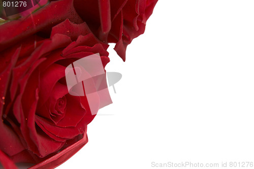 Image of Red roses