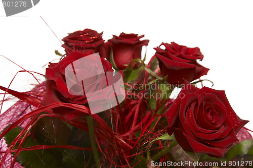 Image of Red roses