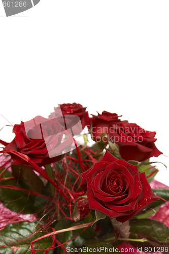 Image of Red roses