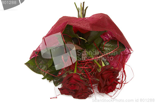 Image of Red roses