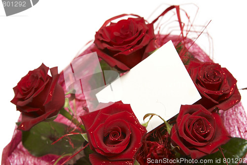 Image of Red roses