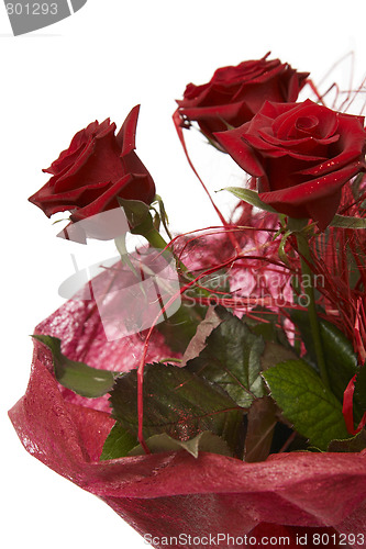 Image of Red roses