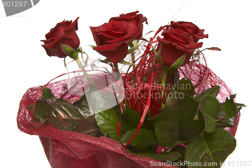 Image of Red roses