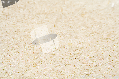 Image of Rice