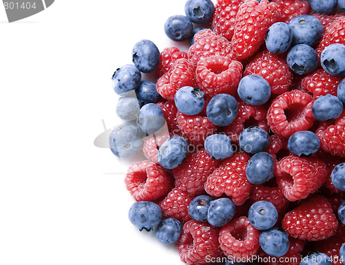 Image of Close-up of berries over white background