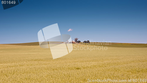 Image of farm has fields of wheat 