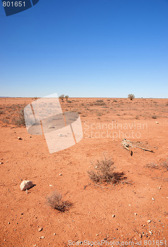 Image of australian red desert