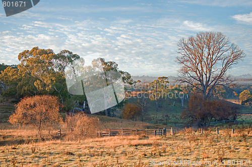 Image of farmland in the morning