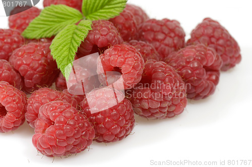 Image of Raspberries