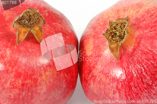 Image of Pomegranate