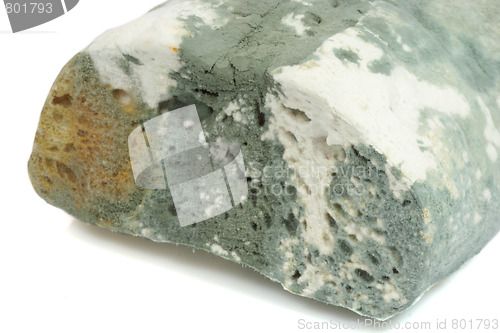 Image of Close-up of mold bread