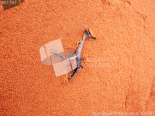 Image of Arizona desert scene