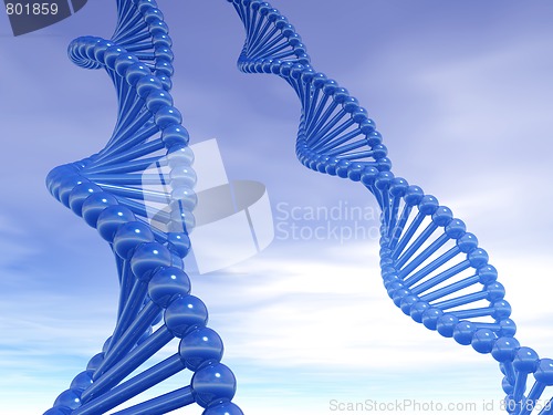 Image of DNA strands