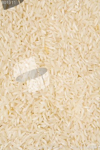Image of Rice