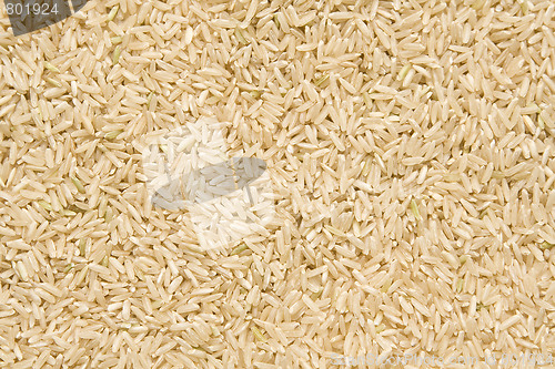 Image of Rice