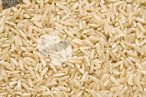 Image of Rice