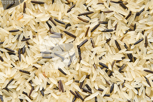 Image of Rice