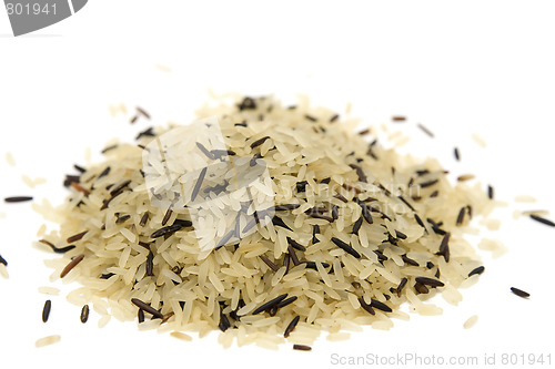 Image of Rice