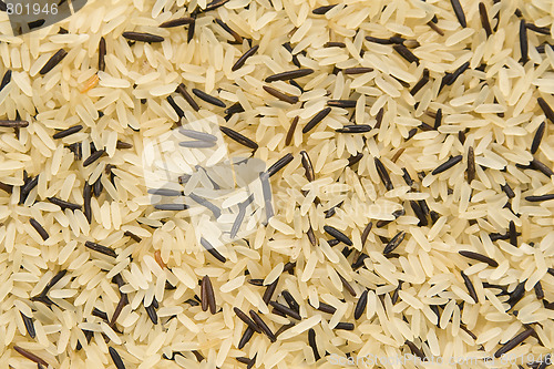 Image of Rice