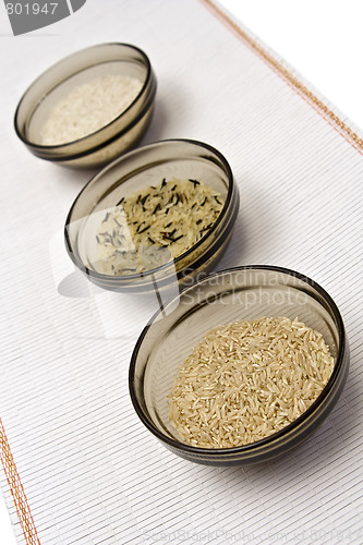 Image of Rice