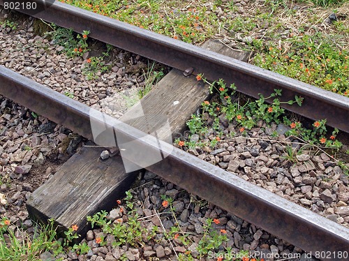 Image of Miniature railway.