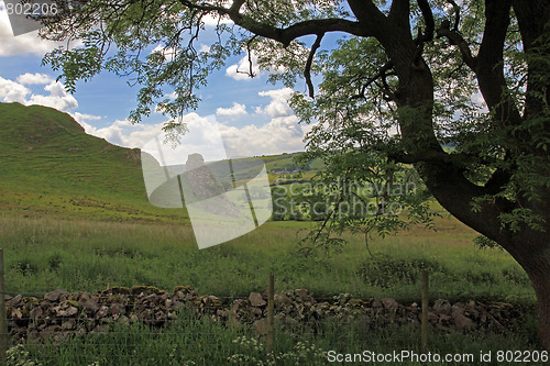 Image of Dry stone wall in Derbyshire England