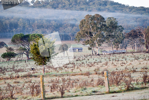 Image of farmland in the morning