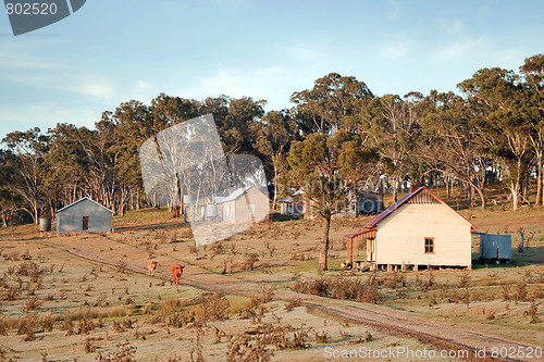 Image of farmland in the morning