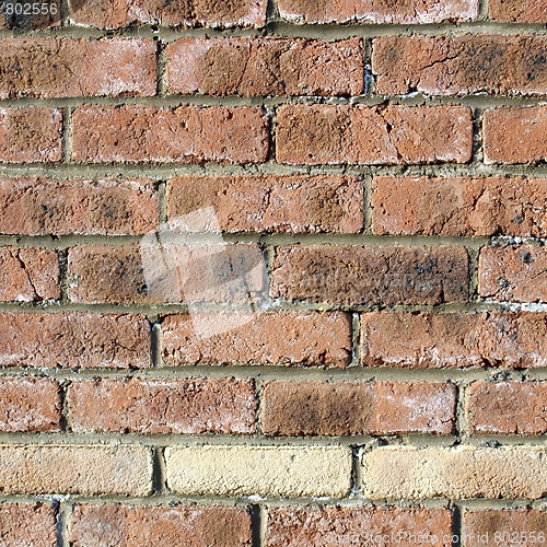 Image of Brick wall