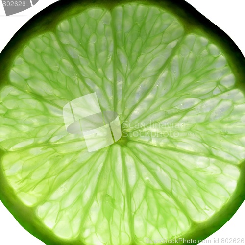 Image of Lime