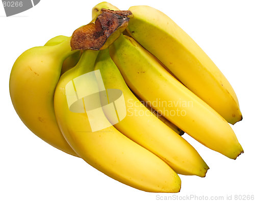 Image of bunch of bananas