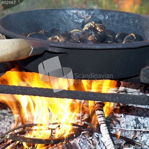 Image of Barbecue