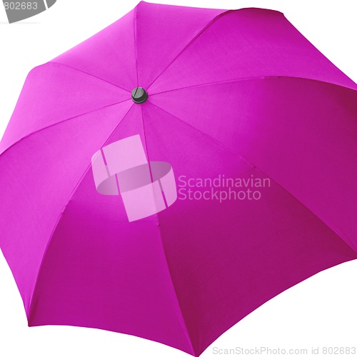 Image of Umbrella