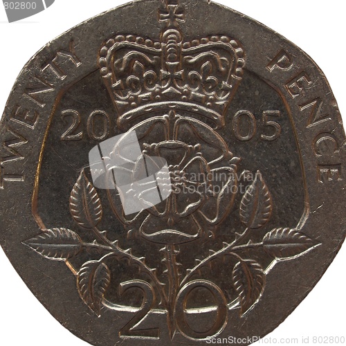 Image of Pounds