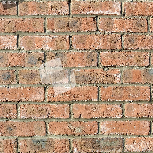 Image of Brick wall
