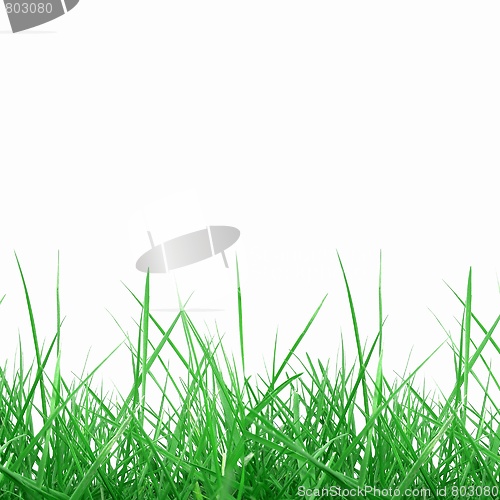 Image of Meadow