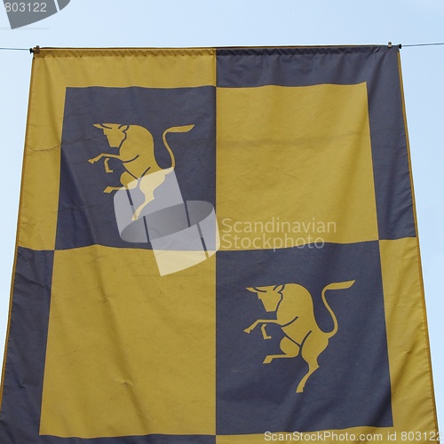Image of Turin flag