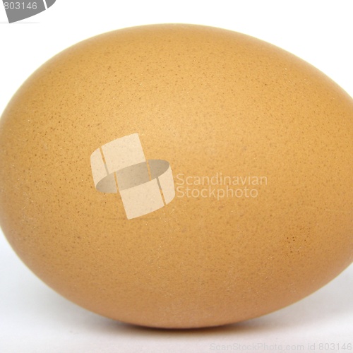 Image of Egg