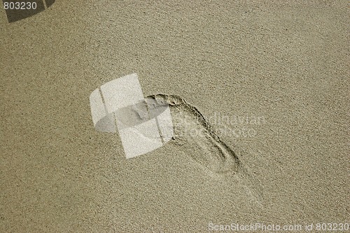 Image of footprint in the sand