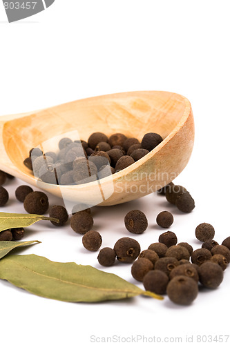 Image of spices